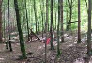 RARITÄT für Naturliebhaber: Schönes Einfamilienhaus mit Eigenwald (ca. 2.300 m²) am Grazer Stadtrand
