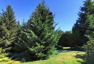Wohnen wie im Märchen - Kleinvilla im Parkgarten (Widmung BW)