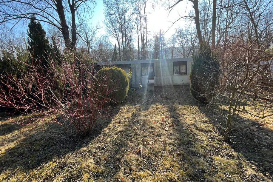 NEUER PREIS! Sanierungsbedürftiger Bungalow im Schlosspark von Seebenstein!, Haus-kauf, 69.000,€, 2824 Neunkirchen