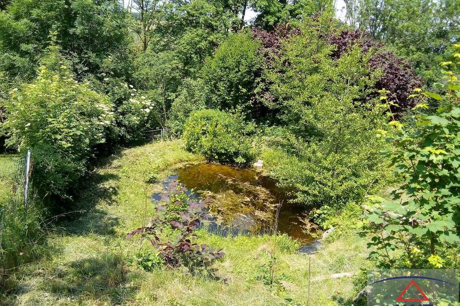 Ein kleines, feines und günstiges Sacherl mitten im Grünen!, Haus-kauf, 3352 Amstetten