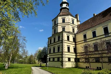 Prunkvolles Schloß mit Park und Schloßteich, Haus-kauf, 3900 Zwettl