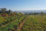 7000 Eisenstadt! Sehr schönes 65m2 Terrassen Apartment Top möbliert mit Seeblick in herrlicher Waldrand Ruhelage!