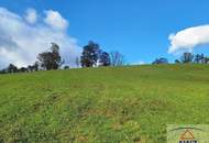 Sonniges BaugrundstÃŒck im steirischen Almenland nahe dem Golfplatz!