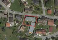 Ihr 3-Zimmer-Refugium in Seenähe - Mietwohnung in Hard