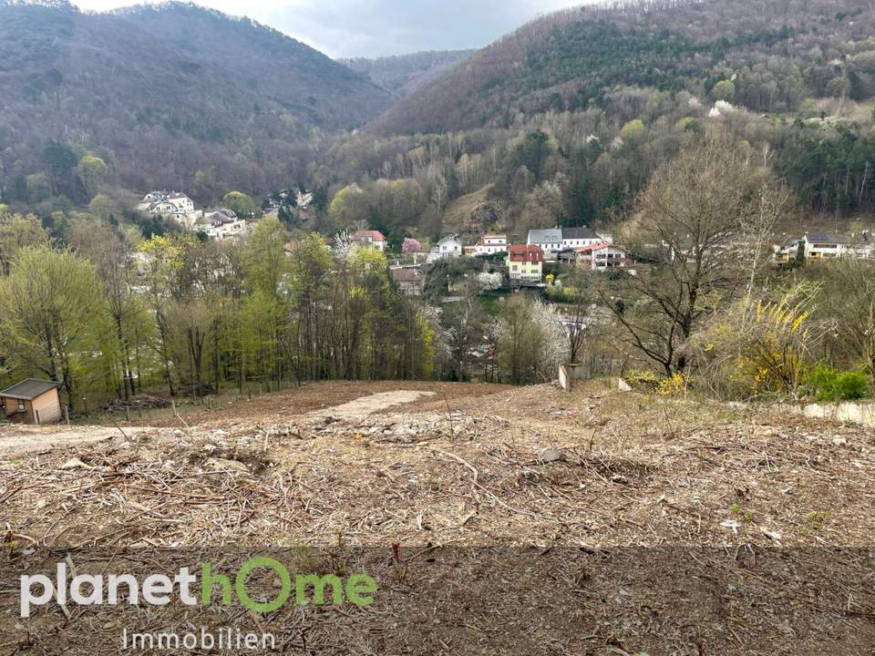 Grundstück in Hanglage in Kaltenleutgeben