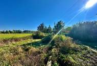 Gemütliches Landhaus im Weinviertel auf ca. 995m² Grundstück – ideal für Naturliebhaber!