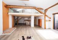 Zeitlos trifft Zeitgemäß - Rooftop Penthouse traumhaftes Penthouse mit Dachgarten, Lift, Gewölbekeller uvm.