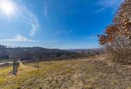 8798 m² WEINGARTEN IN DEN HÜGELN VON FAHNDORF - PANORAMALAGE!