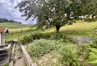 Wunderschön ausgebautes ehemaliges Kellerstöckl mit über 3.200 m² Grund und tollem Gewölbekeller!