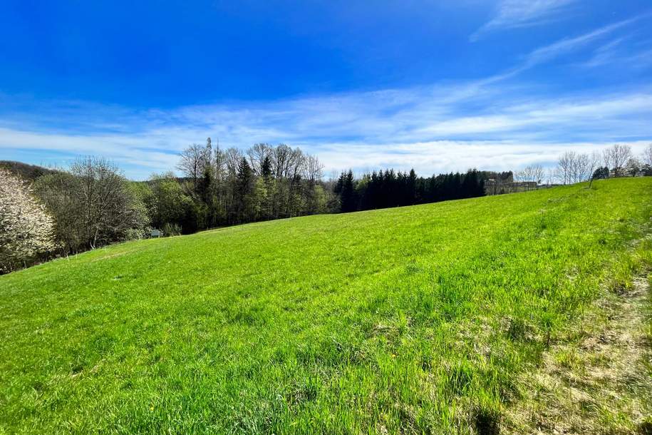 RIES: Leistbares, sonniges Grundstück am Rande von Graz!, Grund und Boden-kauf, 149.000,€, 8010 Graz-Umgebung
