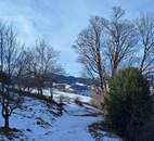 Wo der Attersee zum Nachbarn wird! Grundstück mit Seeblick in Steinbach am Attersee