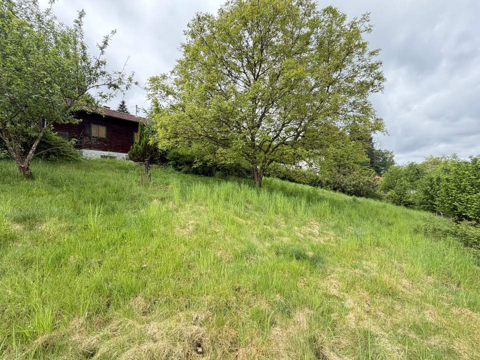 Baugrundstück mit Gartenhaus
