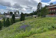 Turracher Höhe - Ein Grundstück mit Seltenheitswert – ideal für eine hochwertige touristische Entwicklung. Baugrundstück für eine kleine Apartmentanlage - DIREKT bei der Piste und der Talstation "Panoramabahn"