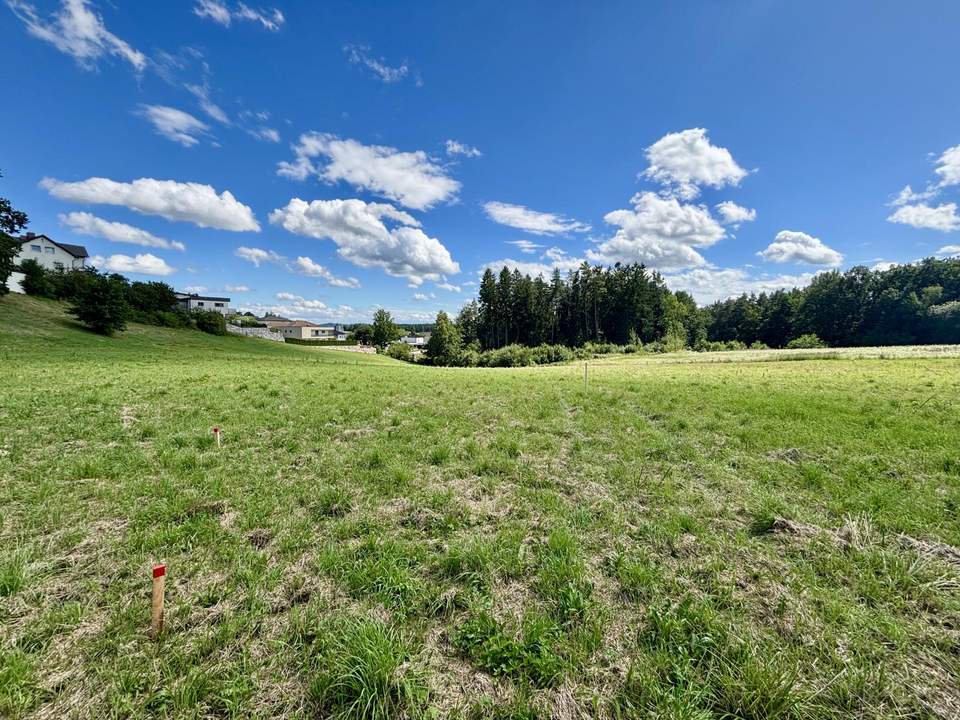 Schöne Baugrundstücke "vor den Toren von Freistadt"