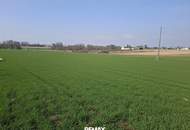 Sonniger &amp; ebener Baugrund in Altheim ohne Bauzwang