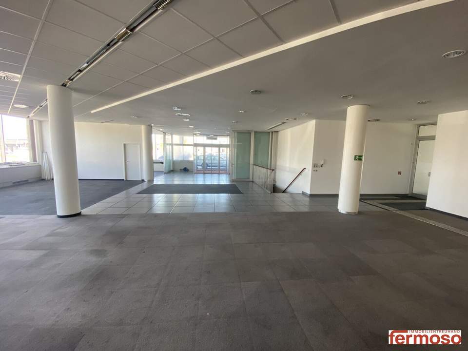 Geräumiges Geschäftslokal in der Perfektastraße – 440 m² im Erdgeschoss + 130 m² Lager – vielseitig nutzbar!