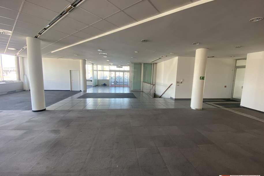 Geräumiges Geschäftslokal in der Perfektastraße – 440 m² im Erdgeschoss + 130 m² Lager – vielseitig nutzbar!, Gewerbeobjekt-miete, 6.000,00,€, 1230 Wien 23., Liesing