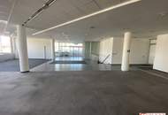Geräumiges Geschäftslokal in der Perfektastraße – 440 m² im Erdgeschoss + 130 m² Lager – vielseitig nutzbar!