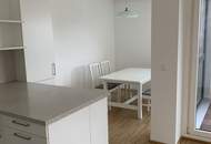 4 rooms, terrace, garage, near VIC - new renovated