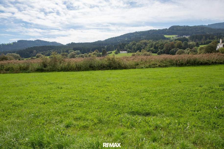 Große Gewerbefläche in Wiesenau - auch kleine Parzellen verfügbar, Grund und Boden-kauf, 2.650.975,€, 9462 Wolfsberg