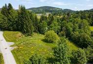 Traumhaftes Baugrundstück in Reauz – 2121m² für Ihr Eigenheim!