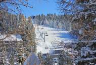 Natur, Abenteuer & Luxus vereint! – CHALET SLEEPY BEAR - Sofort Ski-In & Ski-Out