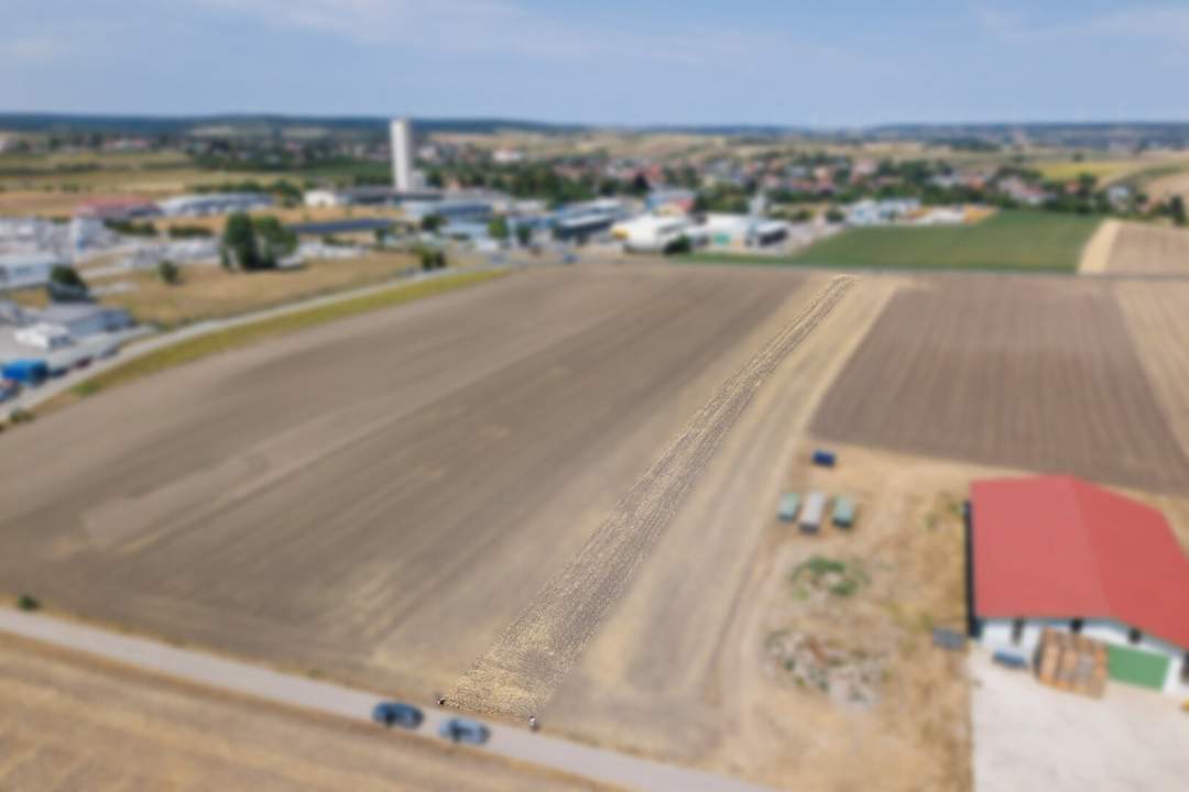 Landwirtschaftliches Grundstück in der KG Auersthal - 4306m2