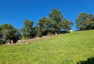 Mein Platz an der Sonne ! Schöne Baugrundstücke in Aussichtlage - oberhalb von Seeboden am Millstättersee - ab € 131.250,-