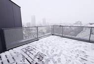 FERNBLICK, DACHGESCHOSS, 102 m2 Maisonette, 3 Zimmer, Komplettküche, Wannenbad, Parketten, Innstraße