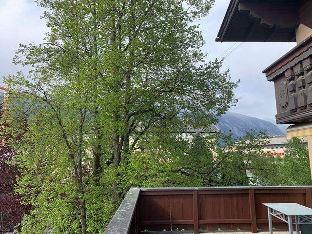 2,5-Zimmer-Wohnung mit Terrasse & Wintergarten