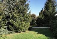 Wohnen wie im Märchen - Kleinvilla im Parkgarten (Widmung BW)
