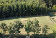 Großzügiges Baugrundstück in ruhiger Waldrandlage