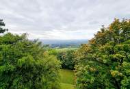 EXTRAVAGANT /// Villenmaisonette mit sensationallem Blick über Wien