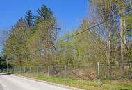 Grundstück aus Teilung in Waldrandruhelage zwischen Wolfersberg und Kolbeterberg