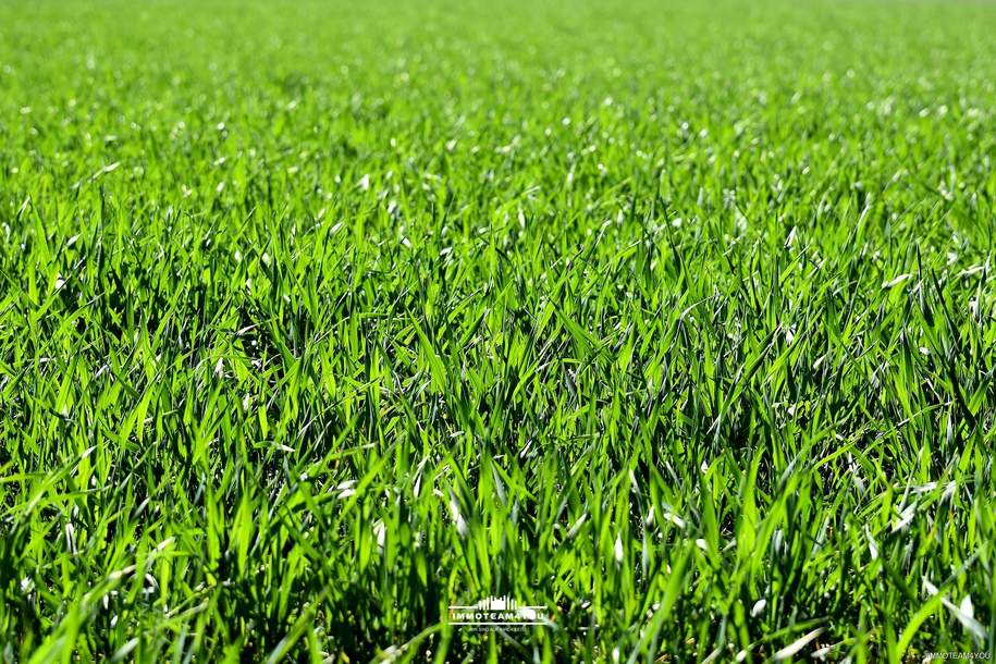 Perfektes Grundstück für gewerbliche Nutzung, Grund und Boden-kauf, 269.400,€, 4840 Vöcklabruck