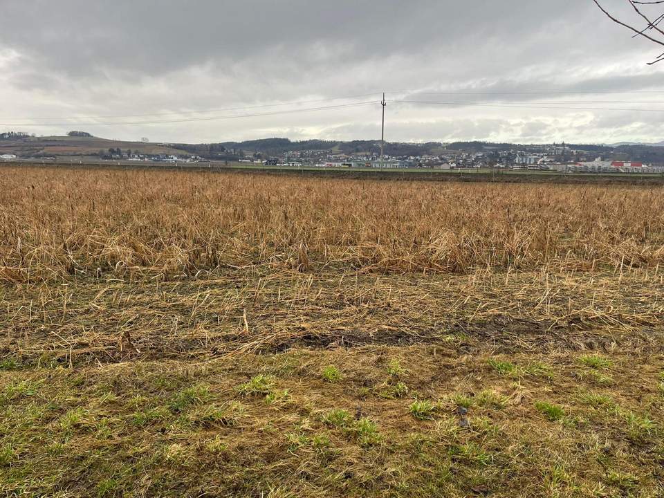 Landwirtschaftlicher Nutzgrund