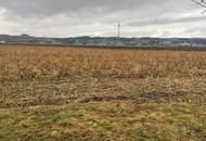 Landwirtschaftlicher Nutzgrund