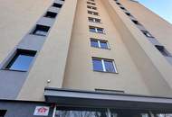 Modernes Wohnjuwel über den Dächern von Graz in Liebenau