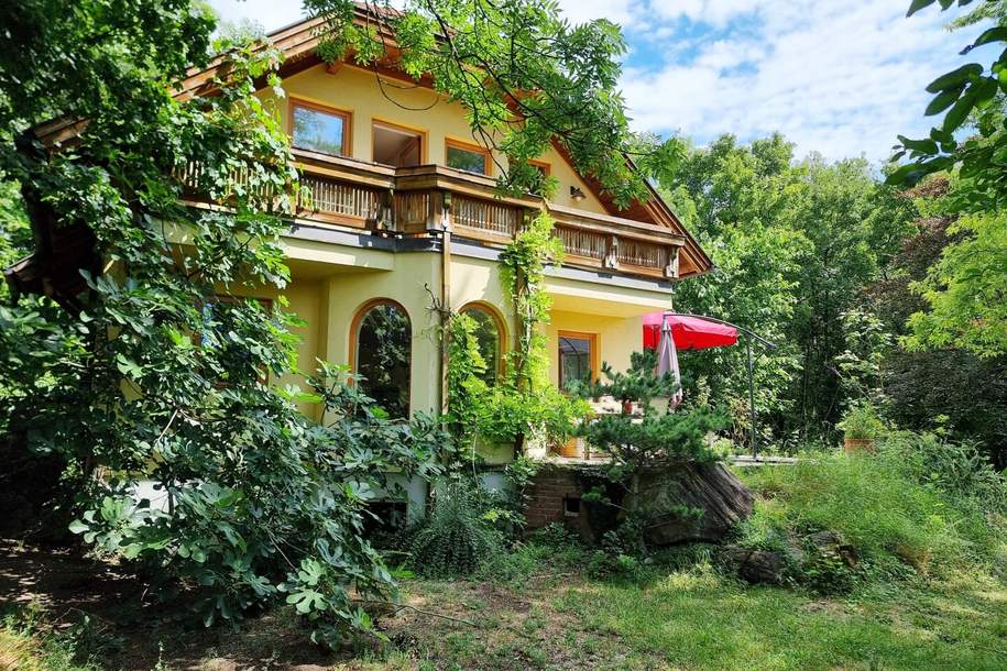 Traumruhelage an der Au!, Haus-kauf, 475.000,€, 2603 Wiener Neustadt(Land)