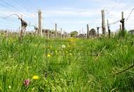 TOWNHOUSE: FAMILIENWOHNTRAUM IM HERZEN VON DÖBLING