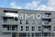 Großzügige 4 Zimmer Wohnung NEUBAU