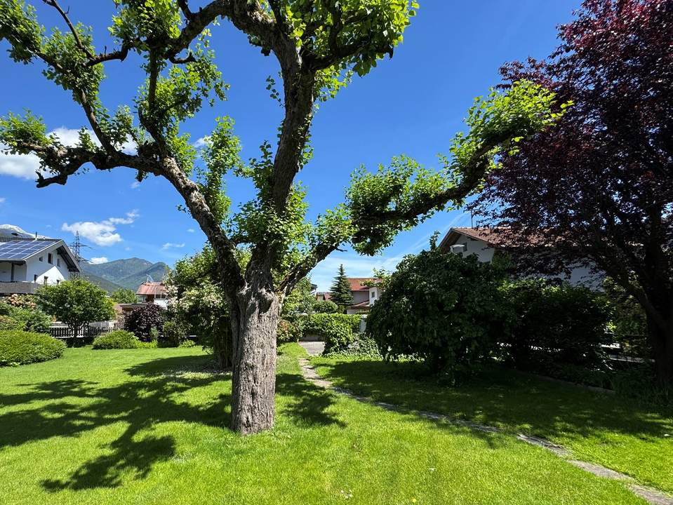 Sonniger Baugrund in Inzig