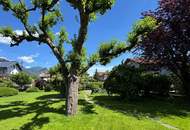 Sonniger Baugrund in Inzig