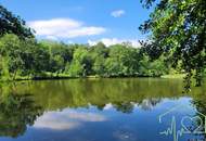 Naturparadies mit Fischteich, Fischerhütte und Wasserrechten - nahe Stadtschlaining