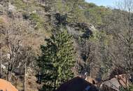 Jagdvilla aus 1910 - vollrenoviert - Top Ruhelage -10 Minuten zu Fuß in die Innenstadt von Baden