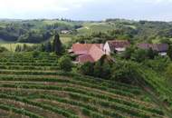 IN SLOWENIEN - Weingut in der berühmten Weinbauregion JERUZALEM