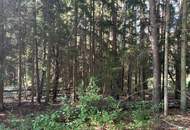 Sonniges Grundstück mit Bauland und landwirtschaftlichen Flächen ohne Bauzwang im SÜDBURGENLAND