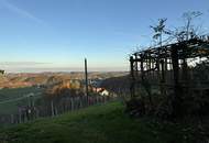 IN SLOWENIEN - Weingut in spektakulärer Alleinlage mit traumhafter Aussicht!