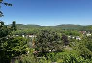 Bergfeeling pur! Traumhaftes Aussichtspanorama am Gipfel des Wolfersberges