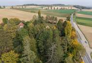 Viel Platz im Grünen: Haus mit Garage auf 8.580 m² Grundstück in Plankenberg